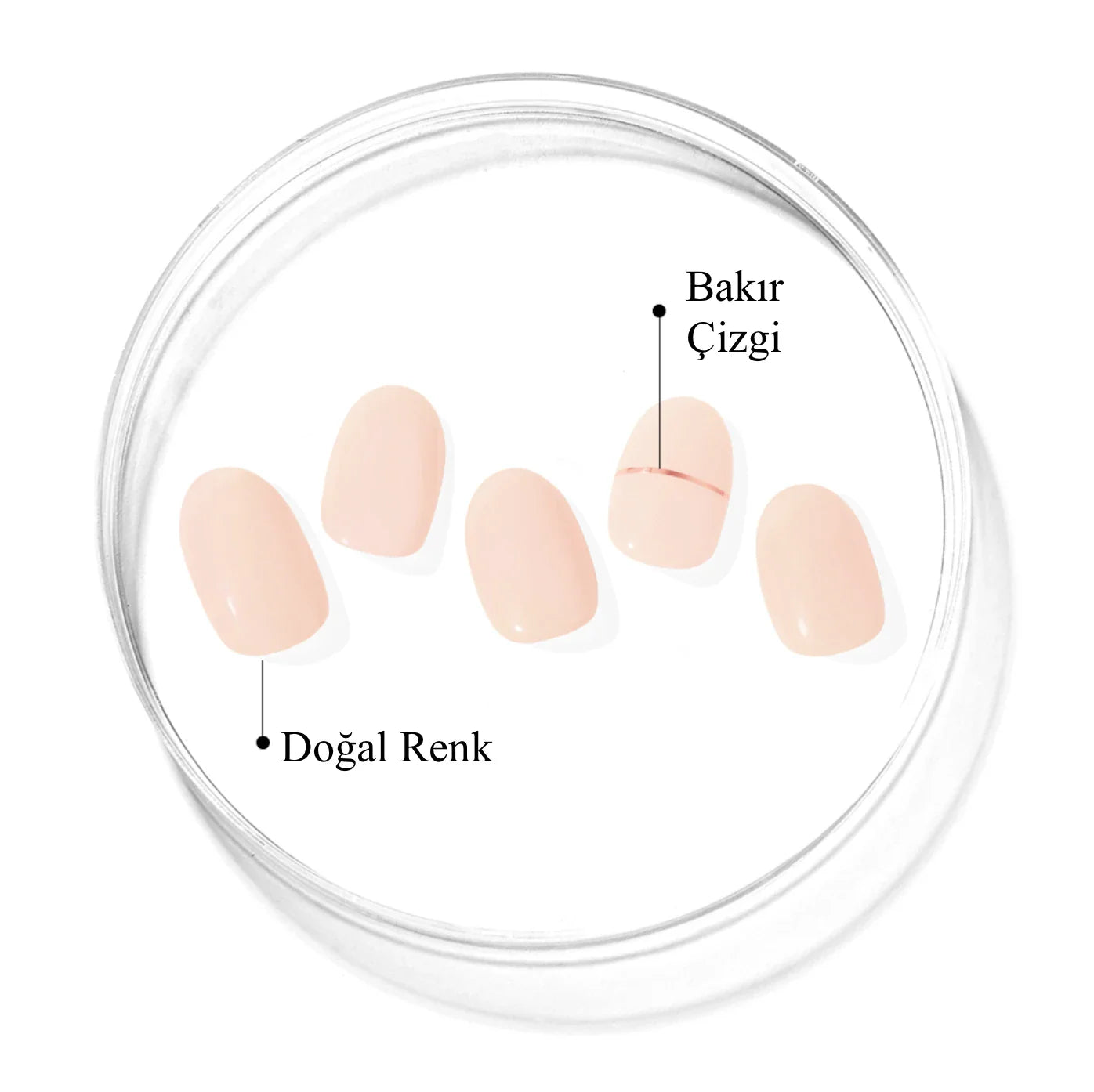N Basic Nails no.11 Jel Tırnak 30 Adet 2 Kullanım
