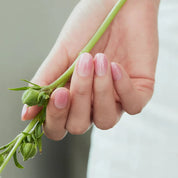 N Beginning Jel Tırnak 30 Adet 2 Kullanım