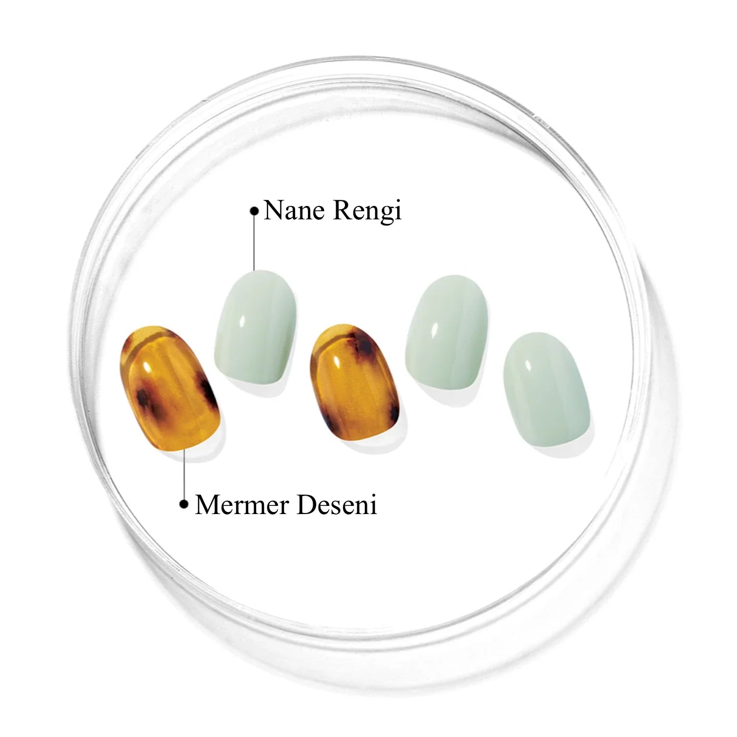 N Leon Jel Tırnak 30 Adet 2 Kullanım