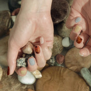 N Road Trip Jel Tırnak 30 Adet 2 Kullanım