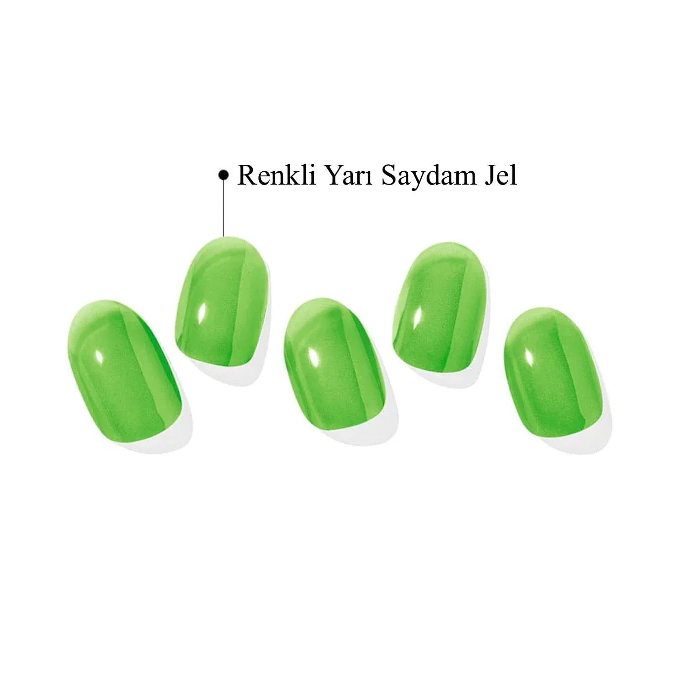 N Tint Tree Jel Tırnak 30 Adet 2 Kullanım