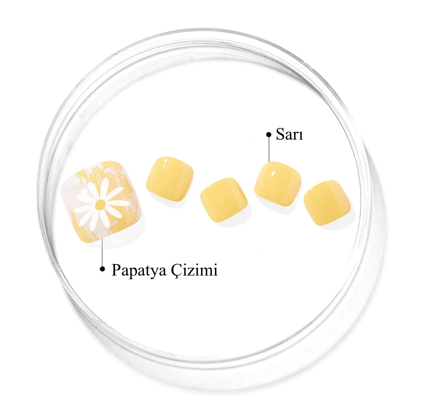 P Sun Daisy Jel Tırnak 32 Adet 2 Kullanım