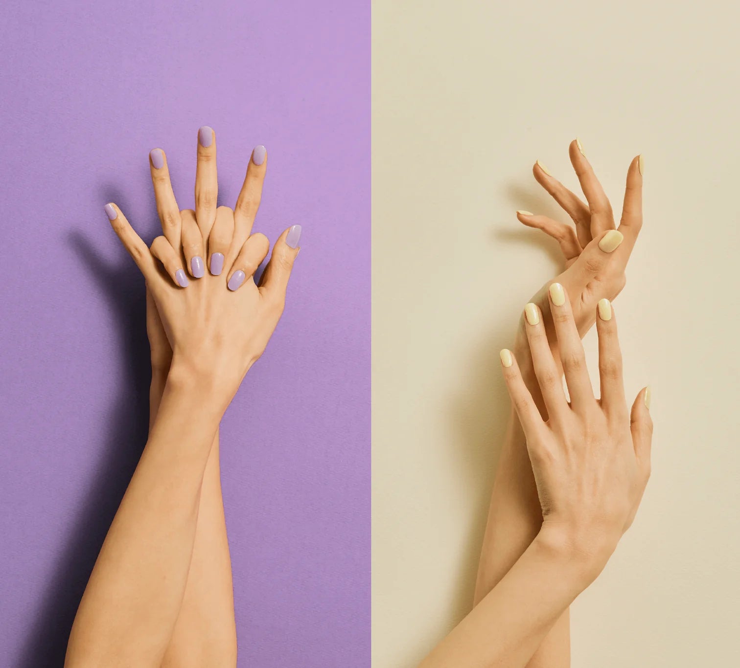 Cream Pastel Collection Set 12 Adet