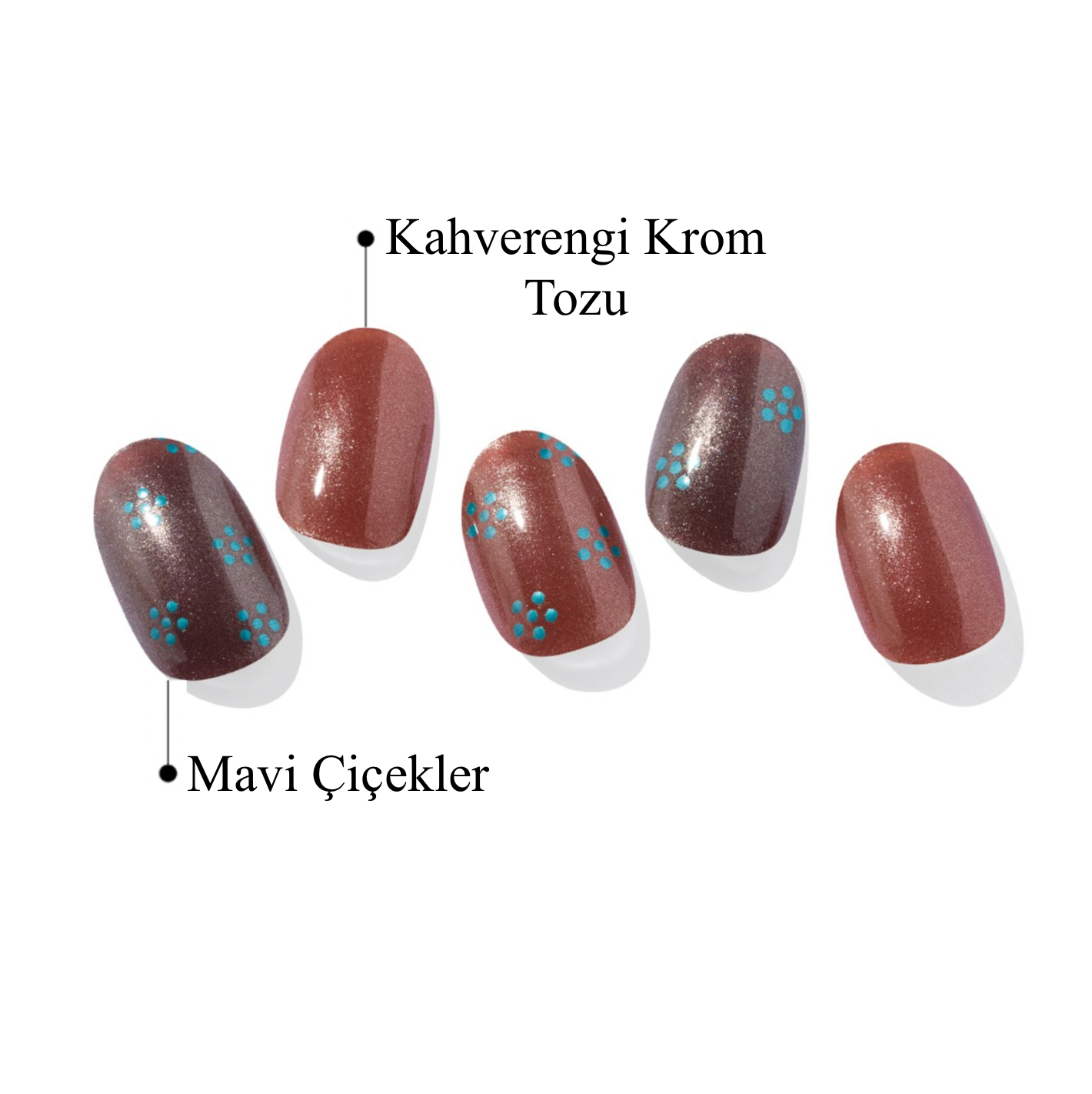 N Evening Flora Jel Tırnak 30 Adet, 2 Kullanım