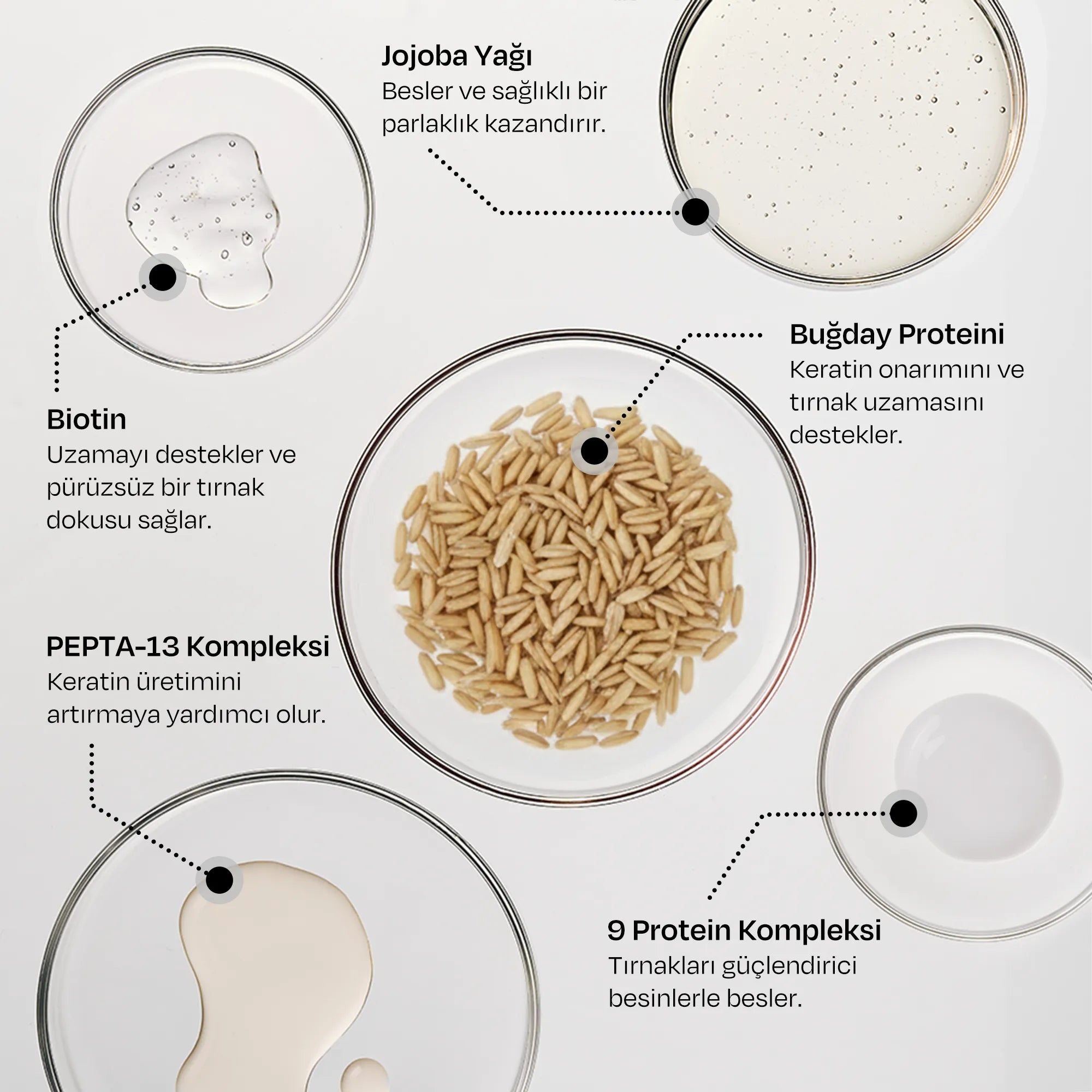 [Taro] Renkli Tırnak Güçlendirici