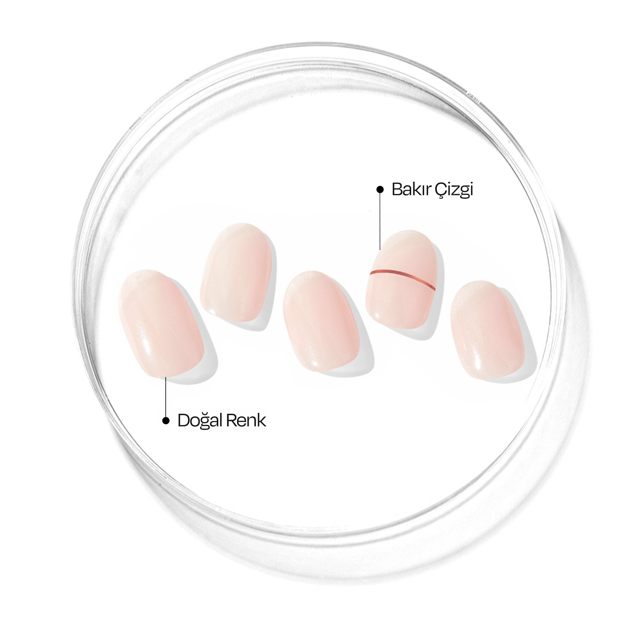N Basic Nails no.11 Jel Tırnak 30 Adet, 2 Kullanım