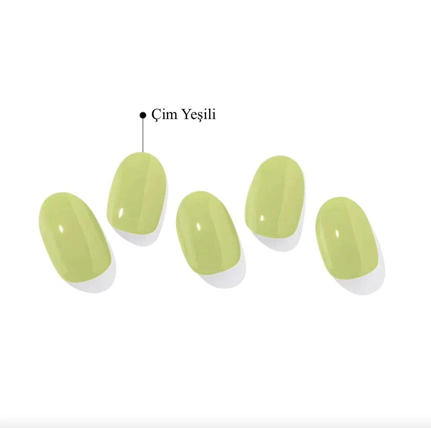 N Cream Sprout Jel Tırnak 30 Adet 2 Kullanım