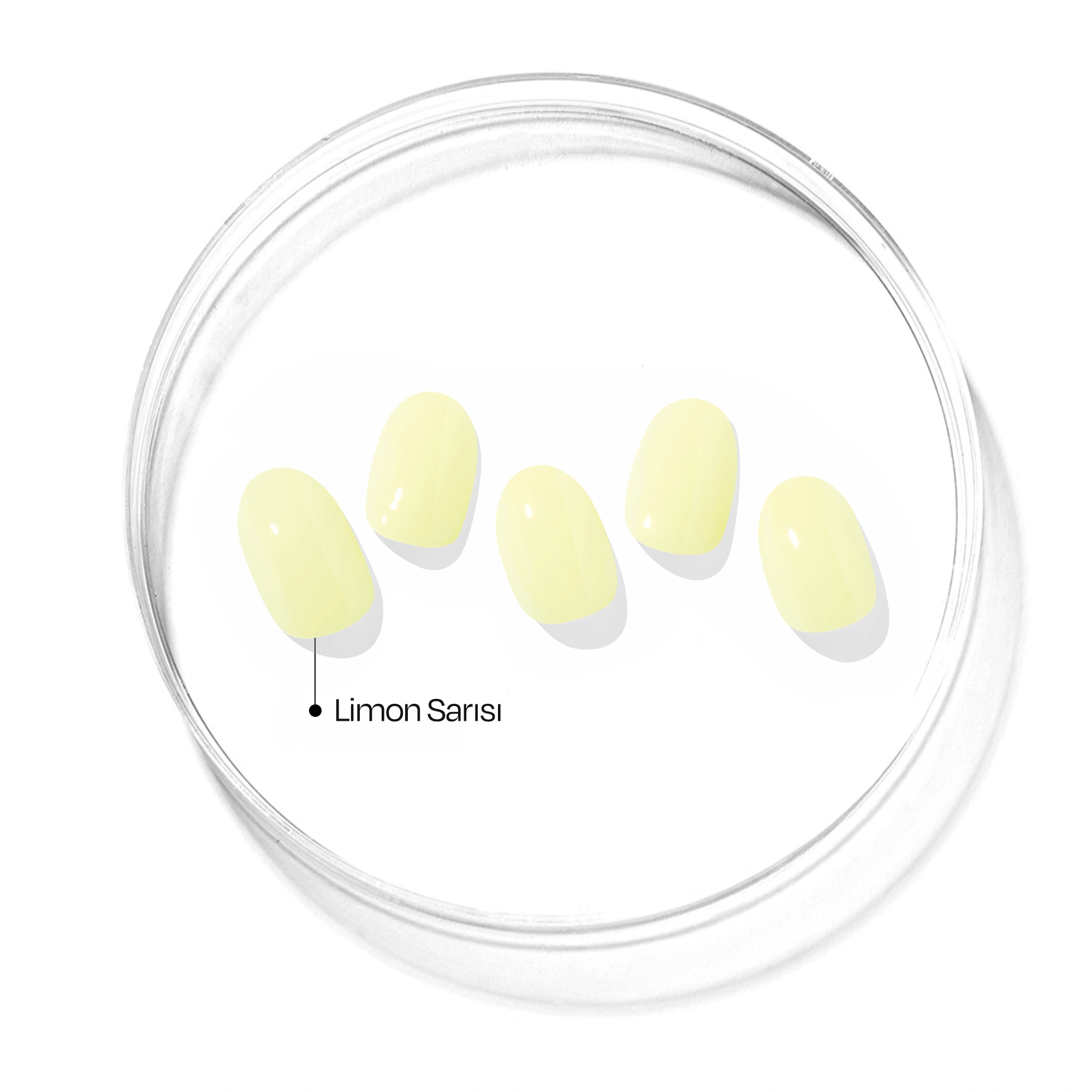 N Lemon Sugar Jel Tırnak 30 Adet, 2 Kullanım