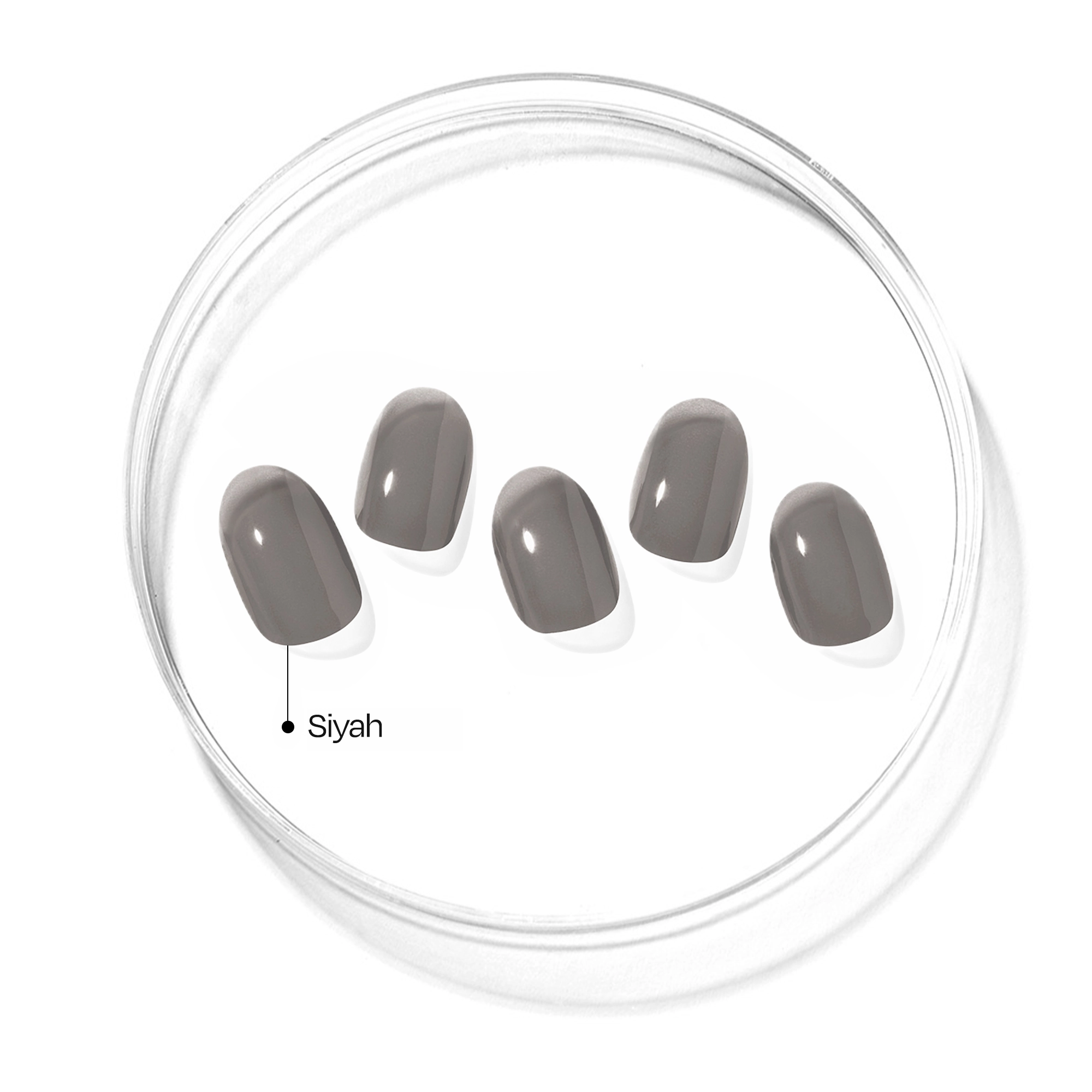 N Tint Black Jel Tırnak 30 Adet, 2 Kullanım