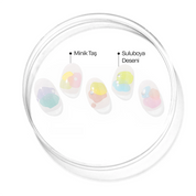 N Tint Drop Jel Tırnak 30 Adet, 2 Kullanım