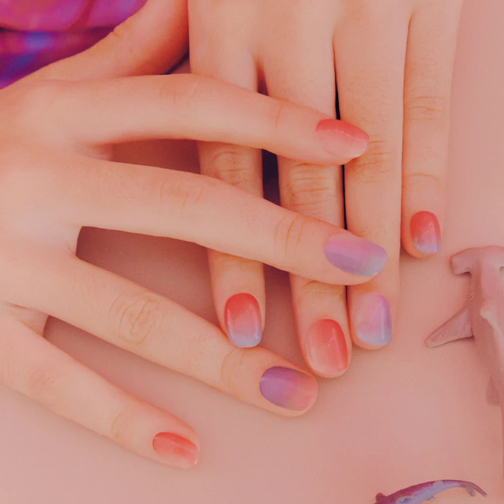 nd-259-t-02.webp