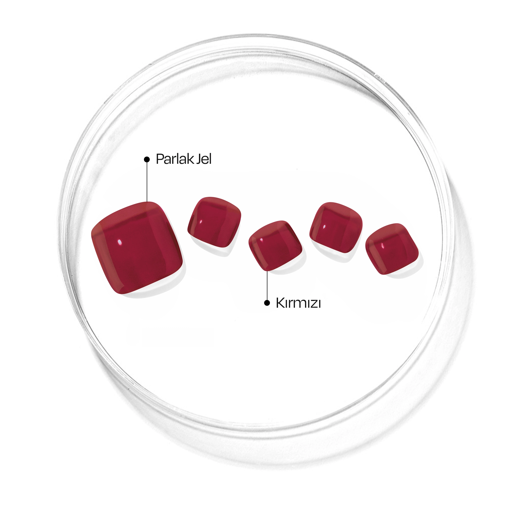P Tint Burgundy Jel Tırnak 32 Adet, 2 Kullanım
