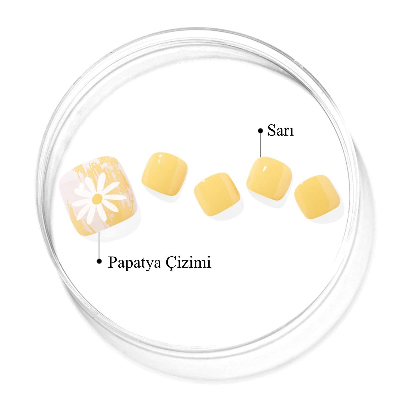 P Sun Daisy Jel Tırnak 32 Adet, 2 Kullanım